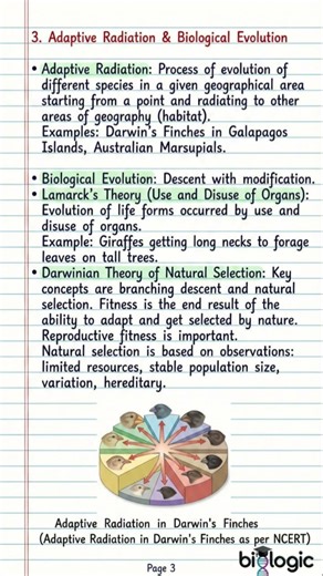 NCERT Rapid Revise | Evolution 🧬🌍📘