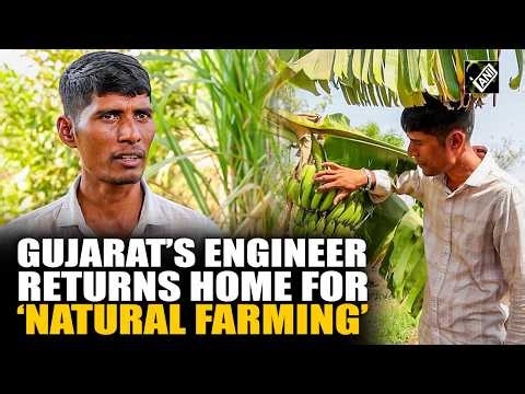 Gujarati engineer quits IT job, creates farming success story