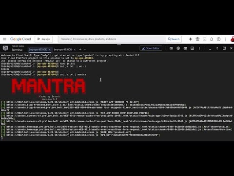 I Went Live Bug Hunting — Here’s What I Found (Real Bug Bounty Session)