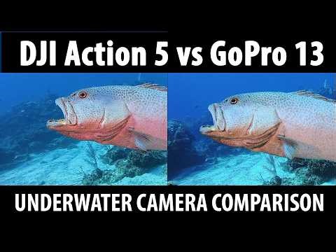 Which Underwater Action Camera Is Actually Better?