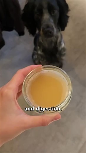 Has your dog tried our Bone Broth powder? The ultimate superfood for dogs! Each pack makes 6 litres of broth! | Buddy & Lola