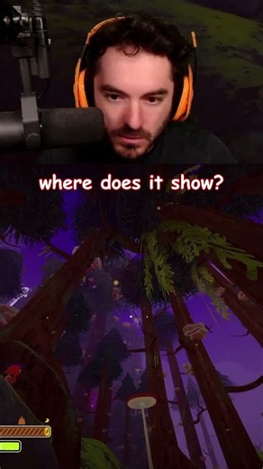 How do you see the spiders?