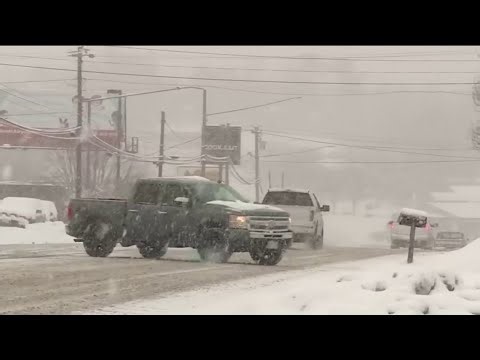 Local 4 News at 6 -- Jan. 31, 2026