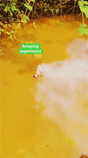 Firework in Water 💥💧 | Crazy Fun Experiment 😍#shorts