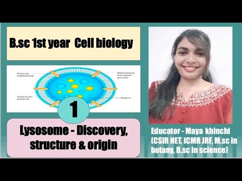 Lysosome - Discovery, structure & origin @MKclass09 