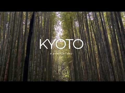 Exploring Arashiyama Bamboo Grove | Rainy Day in Kyoto | Japan Travel Vlog