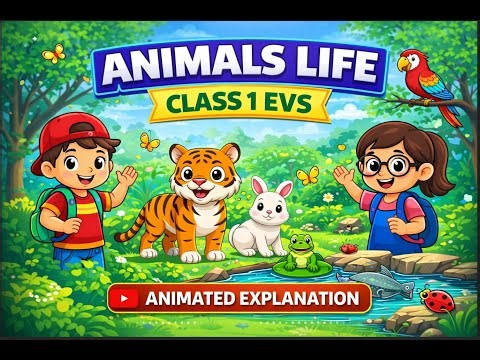 CBSE Class 1st EVS – Animals Life | Animated Explanation