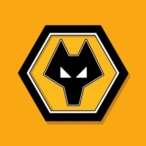 Mane in for Raul in our only change from the 2-2 draw away to Birmingham City.#wwfc #wolves https://t.co/iiVlWRK3RQ