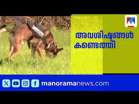 വെടിക്കെട്ട് ദുരന്തം: ചിതറിത്തെറിച്ച ശരീരഭാഗം കണ്ടെത്തി | Thrissur Pooram | RescueOperation