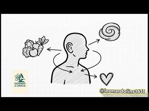 Epigenética: o código além do DNA