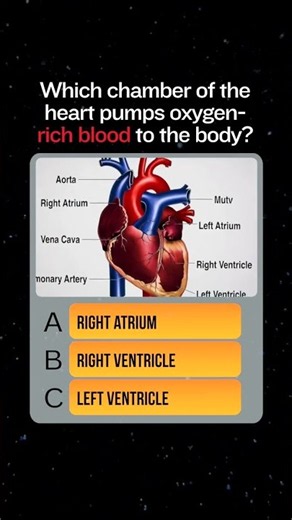 How many of these biology terms do you know? 🧬 #science #trivia #learning