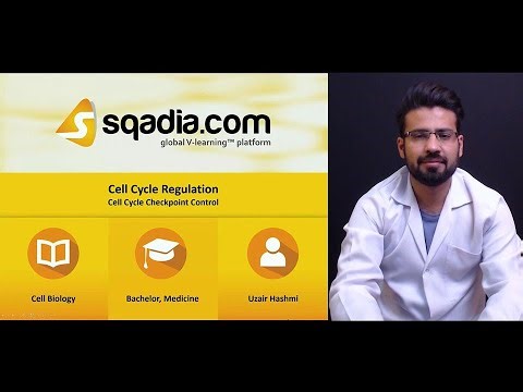 Cell Cycle Regulation | Cell Cycle Checkpoint Control