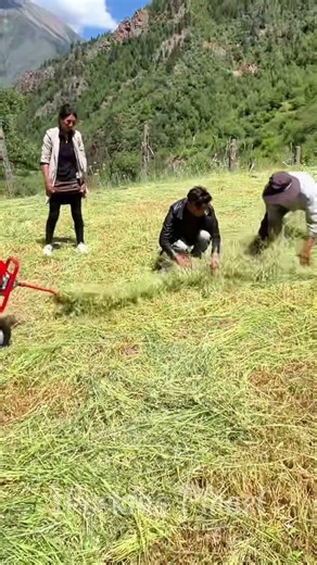 SMART Agri-Tech: Why Professional Farmers Love Rotary Rake Systems 🌀