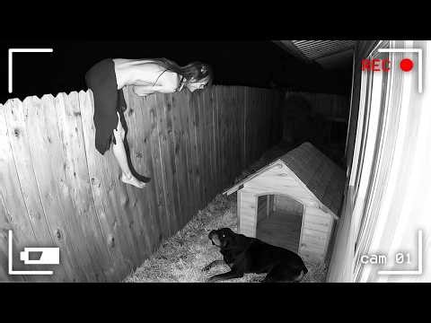 Caught in 4K! Funniest Security Camera Fails