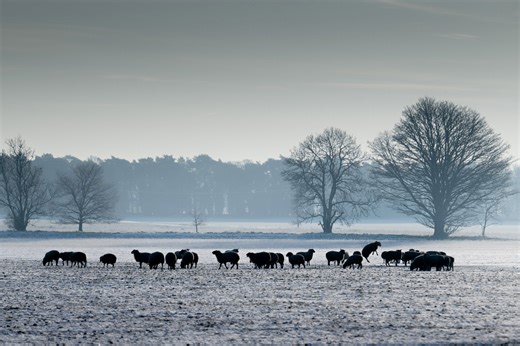 Coldest place in UK hits -12°C: See the stunning pics