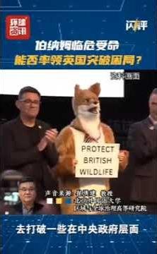 CTNE Expert Cui Hongjian remarks on the issue of Burnham’s inauguration.