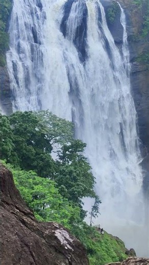 Taarabu waterfalls #travel #mountains #hills #araku #paderu