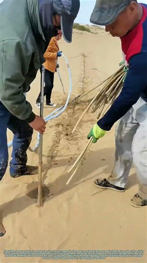 Desert Greening: How Water Transforms Arid Soil