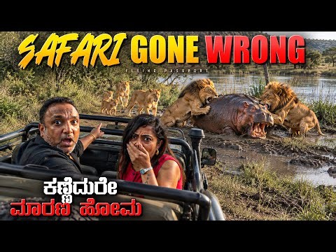 ನಮ್ಮ ಕಣ್ಣೆದುರೇ ಸಿಂಹಗಳ🦁 ದಾಳಿ! ಹಿಪ್ಪೋ🦛 ಜೊತೆ ಭೀಕರ ಕಾಳಗ!😱