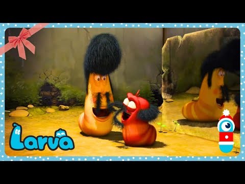 Larva - Solução Cresce Cabelo! 😂 | Dibujos animados para niños | WildBrain Português