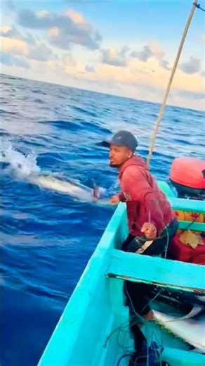 Amazing Catching Blue Marlin #fishing #fish #fishingvideo