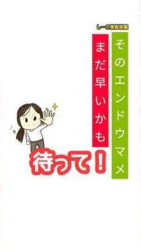 そのエンドウマメの種まき 今！？《しーの家庭菜園∗おすすめ秋冬野菜栽培》