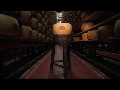 Extreme heat threatens Italy's Parmesan heartland