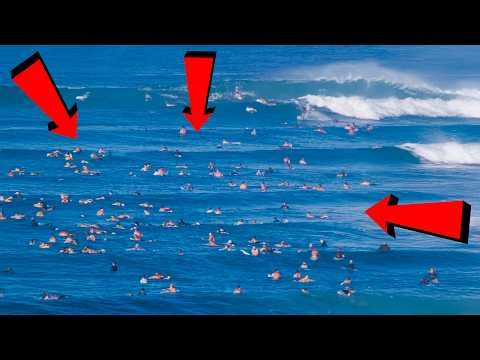 AUSTRALIA'S MOST CROWDED WAVE?!