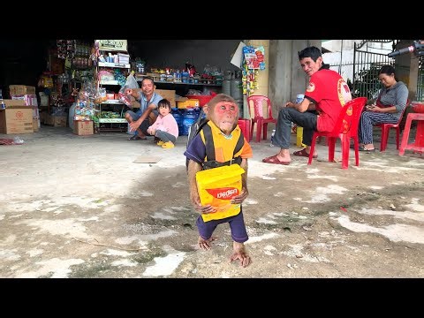 SU Ask Mom For Money Buy Snack ! So Smart Cute 💕🐒