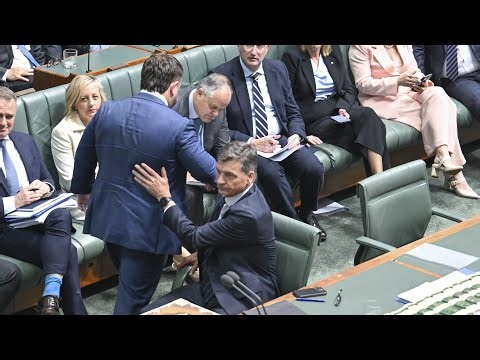 LNP MP suspended from lower house amid fury over $5,000 veterans cap
