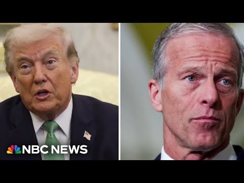 Trump ‘emphatically rejected’ off-ramp presented by GOP to fund parts of DHS