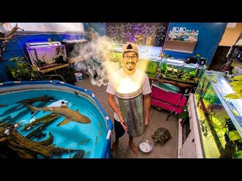 ABRI A MINHA CAPSULA DO TEMPO