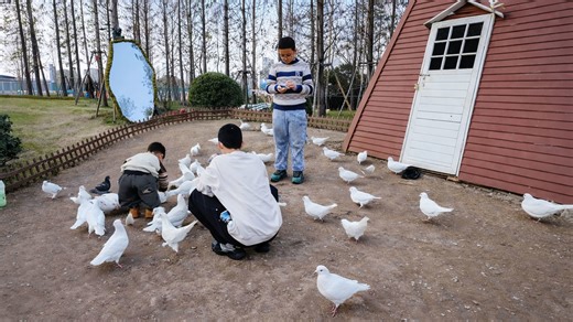 Μια λιτή σκηνή σε πάρκο όπου πουλιά και παιδιά μοιράζονται τον χώρο