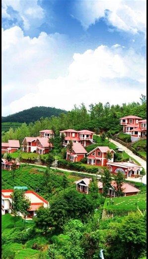 ☀️ Beat the heat and explore the best of India! From stunning hill stations to beautiful beaches, here are the Top 5 Summer Destinations in India you must visit! 🏖️🏔️ #SummerVibes #TravelIndia #TopDestinations #IncredibleIndia #WanderlustIndia #ExploreIndia #SummerGetaway | MapsofIndia