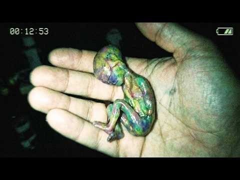 25 Alien Artifacts Found in Places That Make No Sense