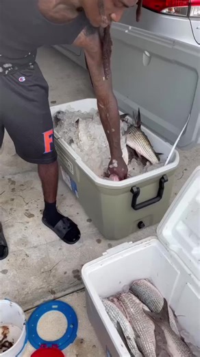 Cook and clean 🧑🏿‍🍳🔥🎣💯 #hoodfishing #foryou | catch and cook