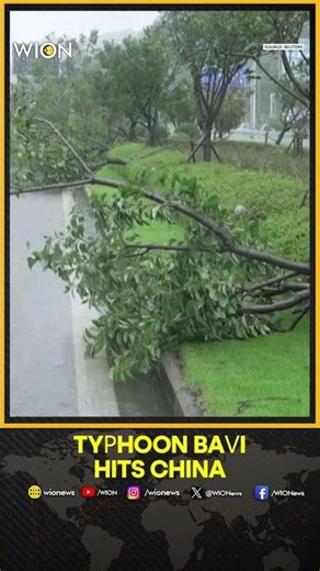 Typhoon Bavi Makes Landfall In Eastern China, State Media Reports | WION Shorts