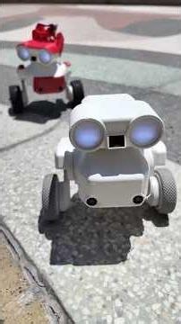 Meet Beni: a two-legged robot companion #TITW
