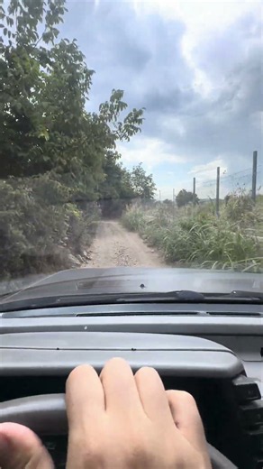 İsuzu TFR Offroad Trophy semi mudterrain road #offroad # #4x4 #isuzu #toyota #jeep