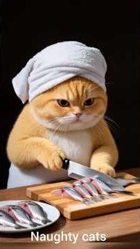 Cute Cat's Funniest Moment Ever😂 #shorts #cats #funny