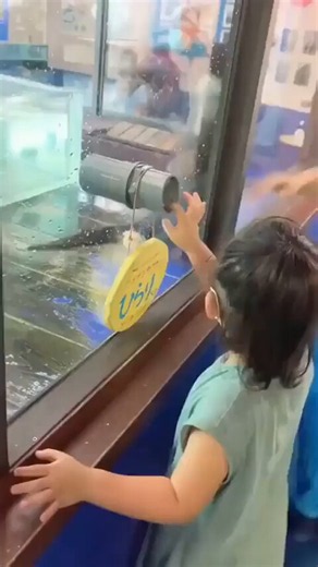 Zoo has hole, so you can hold otters paws
