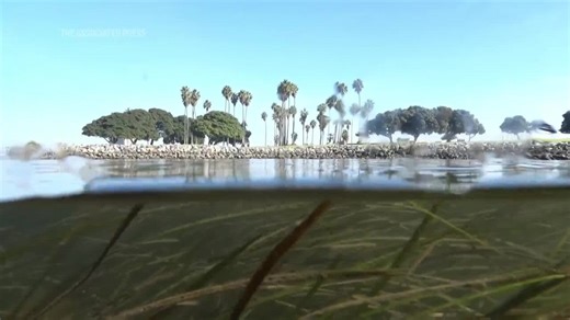 Climate change is outpacing evolution. Scientists are using DNA to catch up