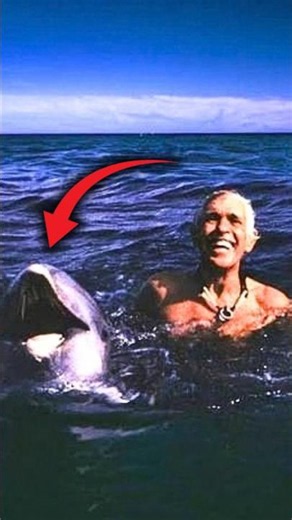 He Followed A Wild Dolphin Into The Deep. Then He Saw It