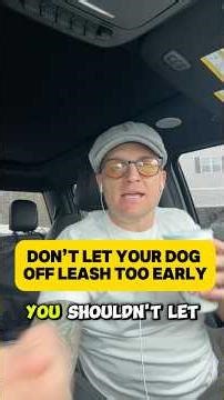 Why you shouldn’t let your dog off leash too early