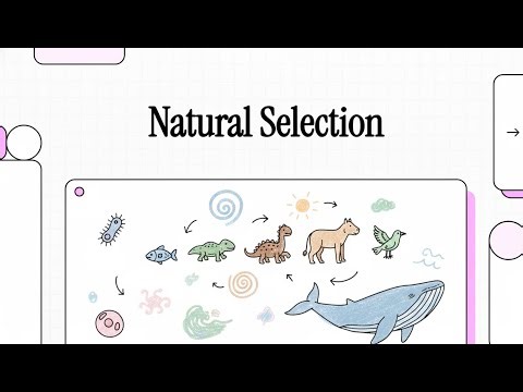 Principles of Natural Selection: From Genetic Variation to Population Evolution
