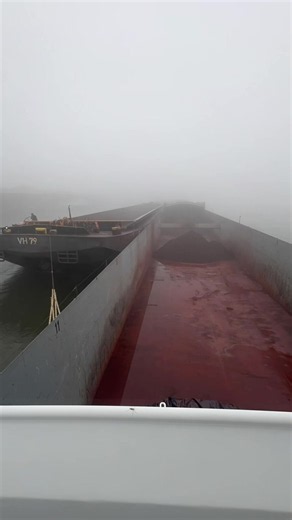 Radar day on a foggy ship: what sailors need to know