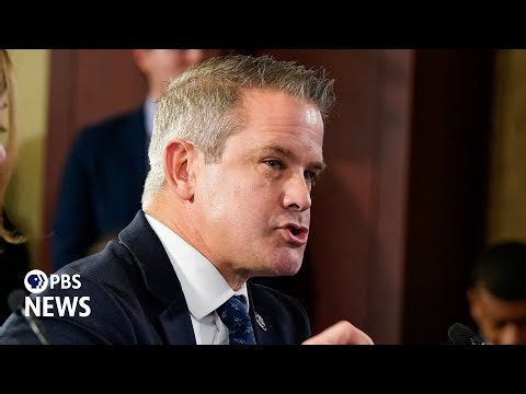 WATCH: Kinzinger slams other Republican ‘cowards’ who haven't condemned Trump’s role in Jan. 6 riot