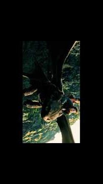 🎬|How to Train Your Dragon (2025)🔥#HowToTrainYourDragon #Toothless #Hiccup #MovieShorts #DragonEdit