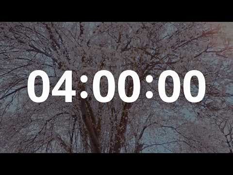 4 Hour Silent Timer – Clean Countdown | LoopTimer Lab