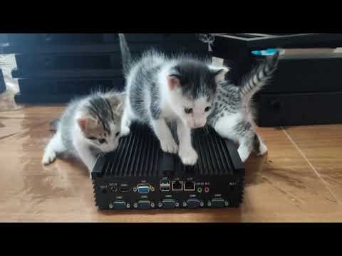 🎥 When Power Meets Curiosity 🐾 | Fanless Embedded Computer 14th Gen, SUNDAR TECHNO Bangalore, India